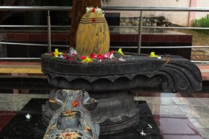 Bilvashtakam lyrics- Shiva Lingam with Bilva leaves